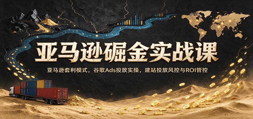 亚马逊掘金实战课：亚马逊套利模式，谷歌Ads投放实操，建站投放风控与ROI管控-轻创终点站
